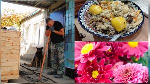 Закупились.Отдохнули.Раскурочили двор.Довольны.