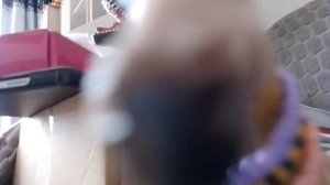 лошадь увидела камеру📷🐴