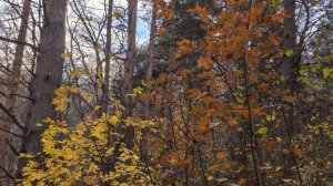 2025-11-02-130524204.mp4