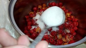 Компот из красной рябины