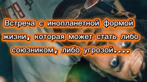 Встреча с  инопланетной формой жизни