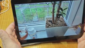 Blackview Zeno 10 - Планшет с 5G и 4K - тонкий, быстрый и лёгкий... и режим ПК!