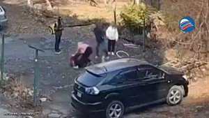 Во Владивостоке конфликт соседей перерос в драку с бревном