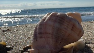 Анапа. ЖК Усадьба Гостагаевская. Бугазская коса и не только.