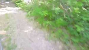 Сломанная ветка у мамы на окне