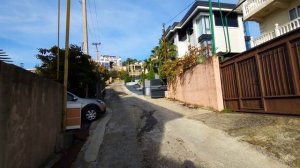 Какой город может сравниться с Сочи в ноябре?