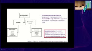 Моисеенко В.М. «Рак и возраст: как механизмы старения связаны с развит. онкологических заболеваний»