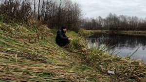 РЫБАЛКА НА ПОПЛАВОЧНУЮ УДОЧКУ 3 НОЯБРЯ