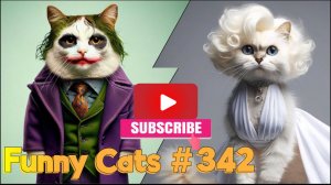 Смешные коты #342