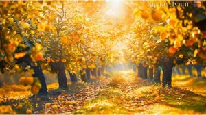 СНОВА ОСЕНЬ🍁 Сборник ЛУЧШИХ Мелодий от которых мурашки по телу! Мелодия Души! Осень в сердце