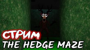 Выживаю в Лабиринте 99 Ночей в Лесу! Survive in 99 nights in forest! 😨 #roblox #лавиния #роблок