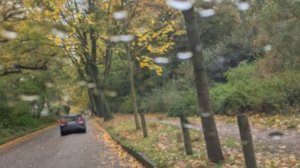 В Германии тоже осень — сделано в Clipchamp