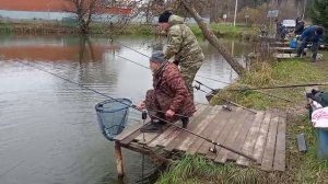 Светлые Горы Форель17 03.11.2025г.