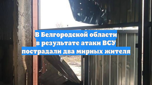 В Белгородской области в результате атаки ВСУ пострадали два мирных жителя