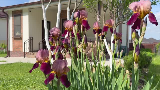 Дом Гостагаевская, 95,1кв.м, 6,5 соток смотреть онлайн