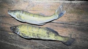 Подводная охота на водохранилище