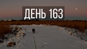 День 163