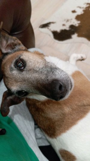 Чë смотришь? Заходи!