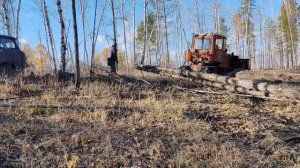 дт 75  лесосека.