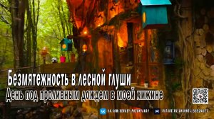 Безмятежность в лесной глуши. День под проливным дождем в моей хижине