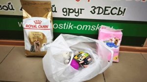 Путь от "ненужной вещи" до самого любимого члена семьи | Тэдди ДОМА!