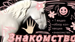 Знакомство//первое видео//приветствие🌸🌷