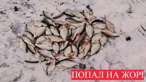 ПЕРВЫЙ ЛЁД! ЗИМНЯЯ РЫБАЛКА НА МОРМЫШКУ. ПОЙМАЛ МНОГО РАЗНОЙ РЫБЫ.