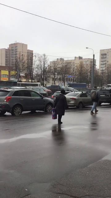 Санкт-Петербург. 04.11.2025.  Последний месяц осени, проспект Энгельса. Эпизод 3