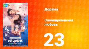 Спланированная любовь 23 серия
