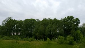 Кто из мд по зз⛎♈♉♊♋♌♍♎♏♐♑♒♓2/?