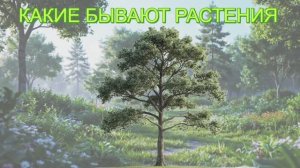 КАКИЕ БЫВАЮТ РАСТЕНИЯ | КАКИЕ БЫВАЮТ Деревья 🌲