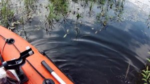 2024_Продовольственная программа_2024