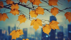 А ДОЖДЬ ШЕПТАЛ И ПЛАКАЛ ROCK