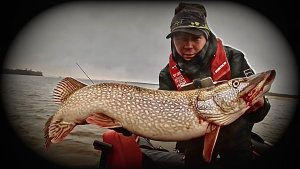 ИСКАЛ И НАШЁЛ! В ПОИСКАХ ТРОФЕЯ. Рыбалка на Иртыше и Оби.