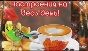 ДОБРОГО СОЛНЕЧНОГО ОСЕННЕГО УТРА ВТОРНИКА