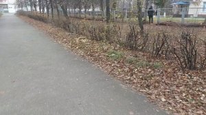 Погода Ульяновск сегодня осенняя