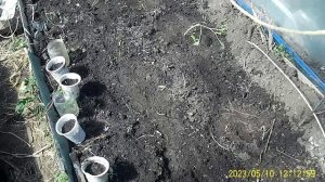 МАЙ ТЕПЛИЦА ЧТО Я ХОЧУ ТАМ ПОСАДИТЬ