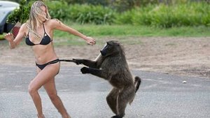 ✅ ТОП СМЕХА НА RUTUBE — ПРИКОЛЫ 2025! 💥