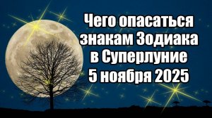 Чего опасаться знакам Зодиака в Суперлуние 5 ноября 2025 года
