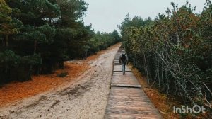 Подъем на Куршской косе