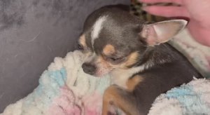 Всем наидобрейшего вечера и самых чудесных снов.