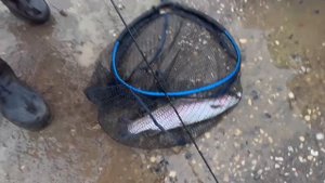 Онлайн с водоема