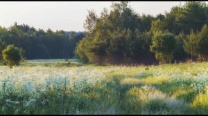 Чтож ты, душенька, так растревожилась - стихи - Виктор Михнев, музыка - Валерий Михайлов + SUNO