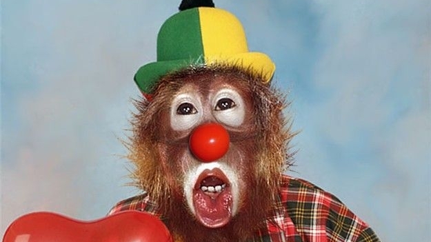 Тупые отзовы под приложениями