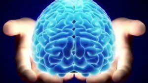 .... Факты - Которые оказались не правдой....