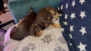 Доброго вечера и самой спокойной ночи.