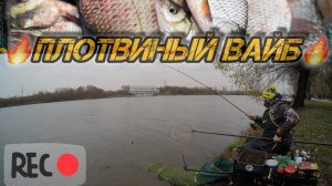 Осенняя плотва на Нижней Москва реке