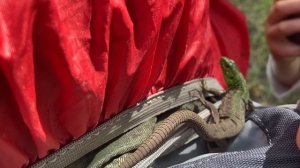 Липецкая область, поход 1 к.с., июнь 2025 г., Руководитель Демкина Анастасия