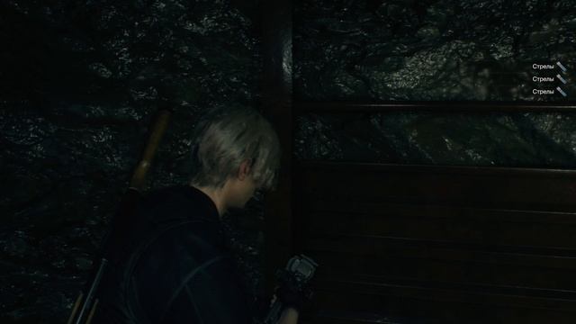 Resident Evil 4 , двадцать первое   прохождение .