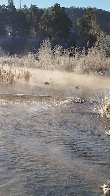 С добрым утром! смотреть онлайн